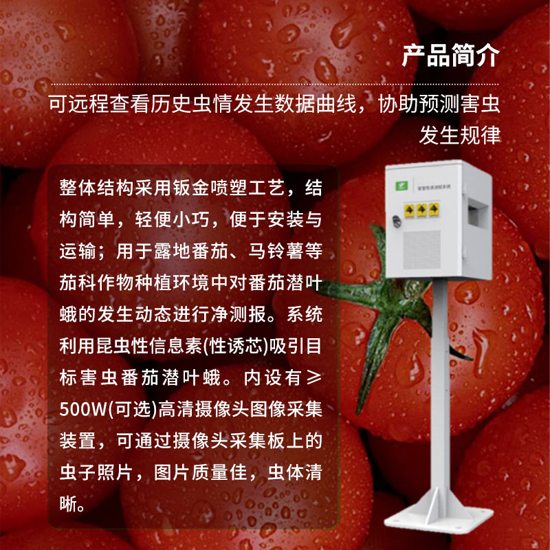 番茄潛葉蛾智慧性誘測(cè)報(bào)系統(tǒng)：高效誘蟲、殺蟲